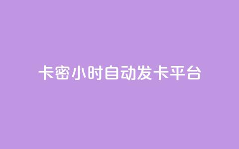卡密24小时自动发卡平台 - 全天候自动发卡系统一键获取卡密服务。  第1张