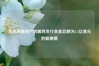 资本策略地产附属将发行本金总额为1.5亿美元的新票据