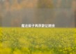 魔法原子再获数亿融资