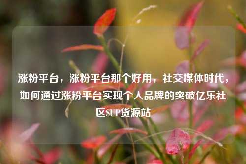 涨粉平台，涨粉平台那个好用，社交媒体时代，如何通过涨粉平台实现个人品牌的突破亿乐社区SUP货源站  第1张