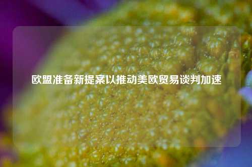 欧盟准备新提案以推动美欧贸易谈判加速  第1张