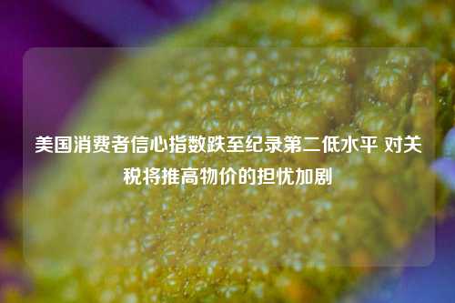 美国消费者信心指数跌至纪录第二低水平 对关税将推高物价的担忧加剧  第1张