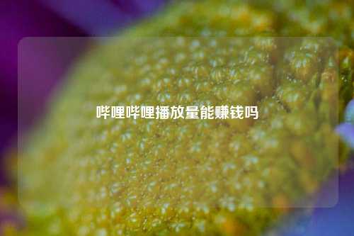 哔哩哔哩播放量能赚钱吗  第1张