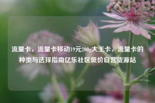 流量卡，流量卡移动19元200g大王卡，流量卡的种类与选择指南亿乐社区低价自营货源站