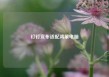 钉钉宣布适配鸿蒙电脑