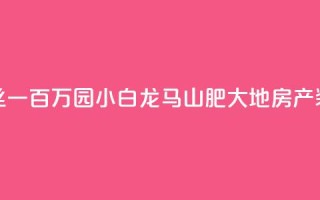 快手粉丝一百万0.01园小白龙马山肥大地房产装修网站,免费qq空间网站点赞 - 抖音粉丝投了钱会兽多久 - 低价Ks一毛1000粉