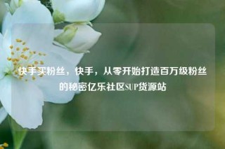 快手买粉丝，快手，从零开始打造百万级粉丝的秘密亿乐社区SUP货源站