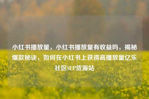 小红书播放量，小红书播放量有收益吗，揭秘爆款秘诀	，如何在小红书上获得高播放量亿乐社区SUP货源站  第1张