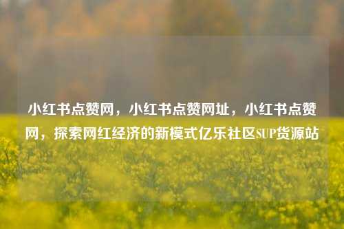 小红书点赞网	，小红书点赞网址，小红书点赞网，探索网红经济的新模式亿乐社区SUP货源站  第1张